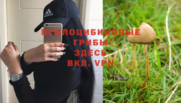 MDMA Premium VHQ Корсаков